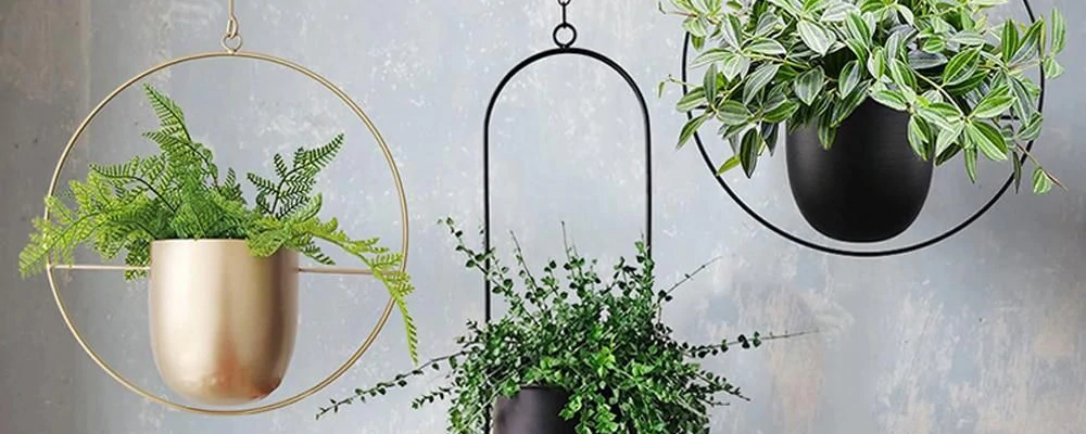 8 Amazing DIY Hanging Planter Ideas To Add To Your Garden￼