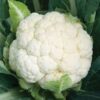 Cauliflower F1 Hybrid Vegetable Seeds