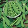 Peas PV 10 Desi Vegetable Seeds